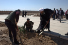 غرس ۱۵۰ اصله نهال با حضور مسئولین شهری در محوطه خوابگاه دانشجویی پردیس دانشکده فنی و مهندسی فردوس