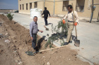 غرس ۱۵۰ اصله نهال با حضور مسئولین شهری در محوطه خوابگاه دانشجویی پردیس دانشکده فنی و مهندسی فردوس